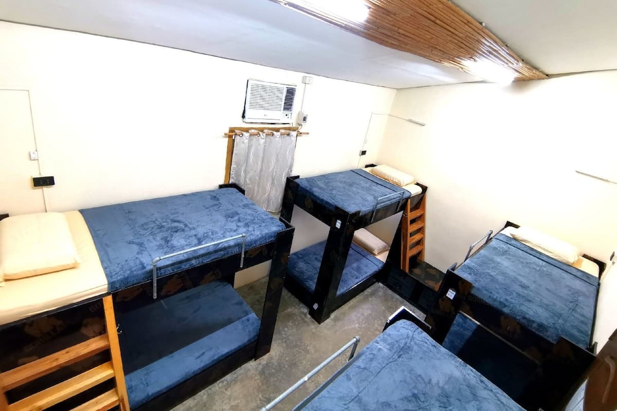 Basic Shared Dormitory, Mixed Dorm | Free WiFi, bed sheets