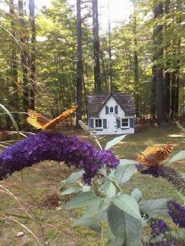 Property grounds - Woodstock Cottage with hot tub. Close to town yet very private. (Woodstock)