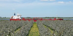 Imagen sin descripción, 3 de 36, botón