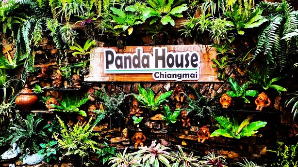 A sign for Panda House in Chiangmai surrounded by lush greenery and terracotta pots. - Panda House Chiang Mai (Chiang Mai)