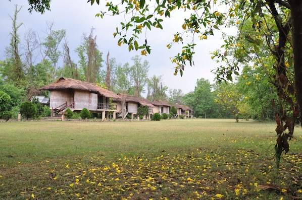 Premium bedding, down duvets, minibar, in-room safe