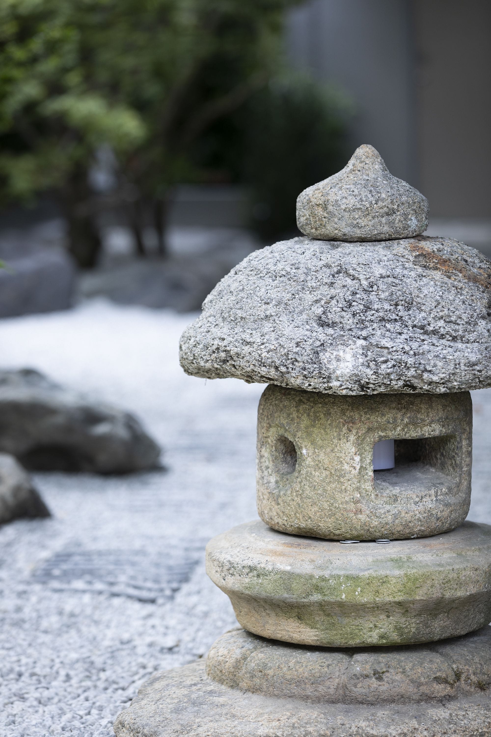 庭園