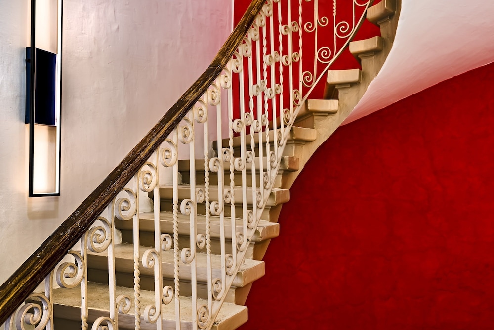 The Snop House by null