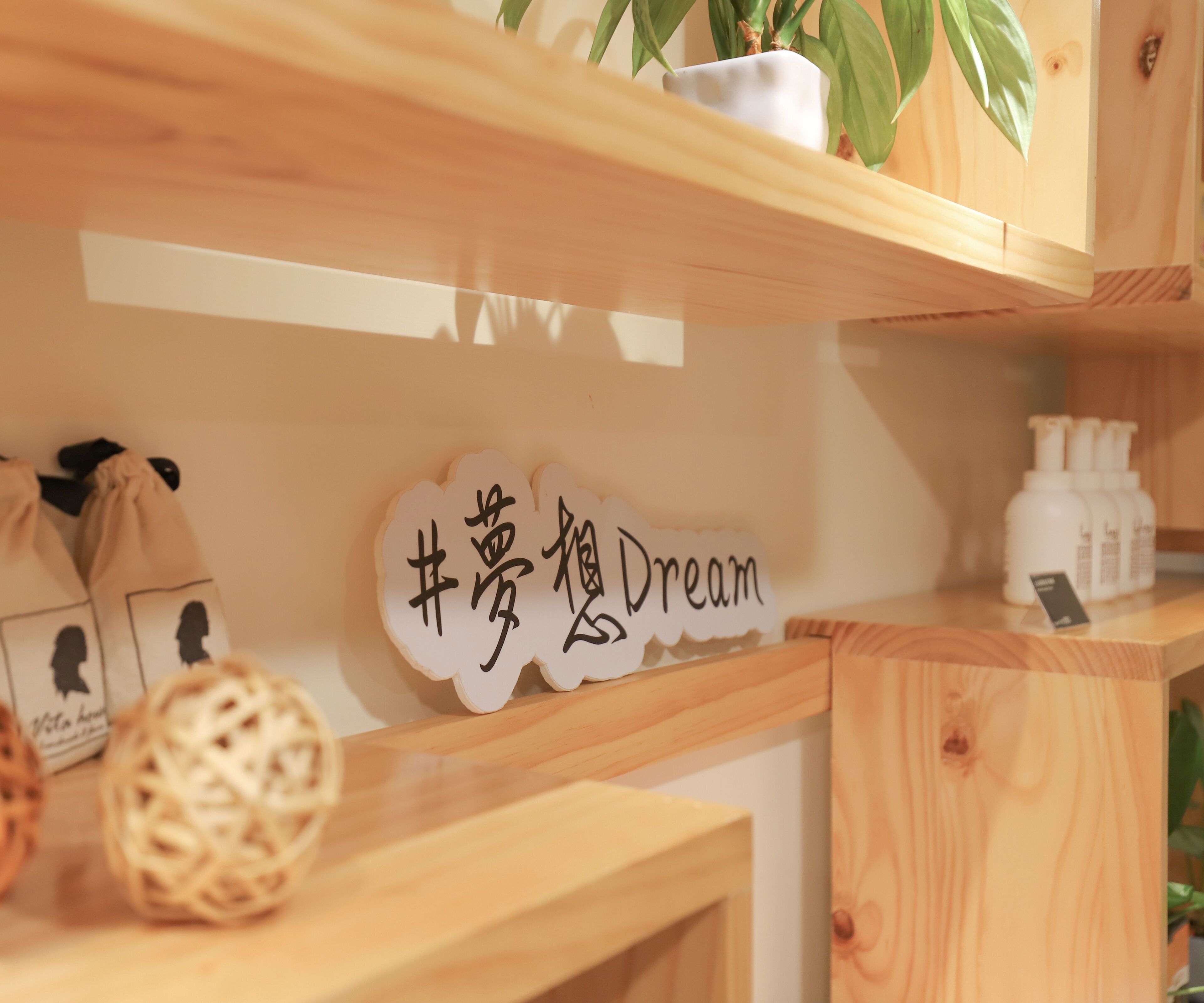 Een houten plank met een bord waarop '#dream' staat en een kleine potplant.