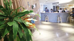 A modern reception area with a wooden reception desk, a seating area with stools, and a large potted plant in the foreground.