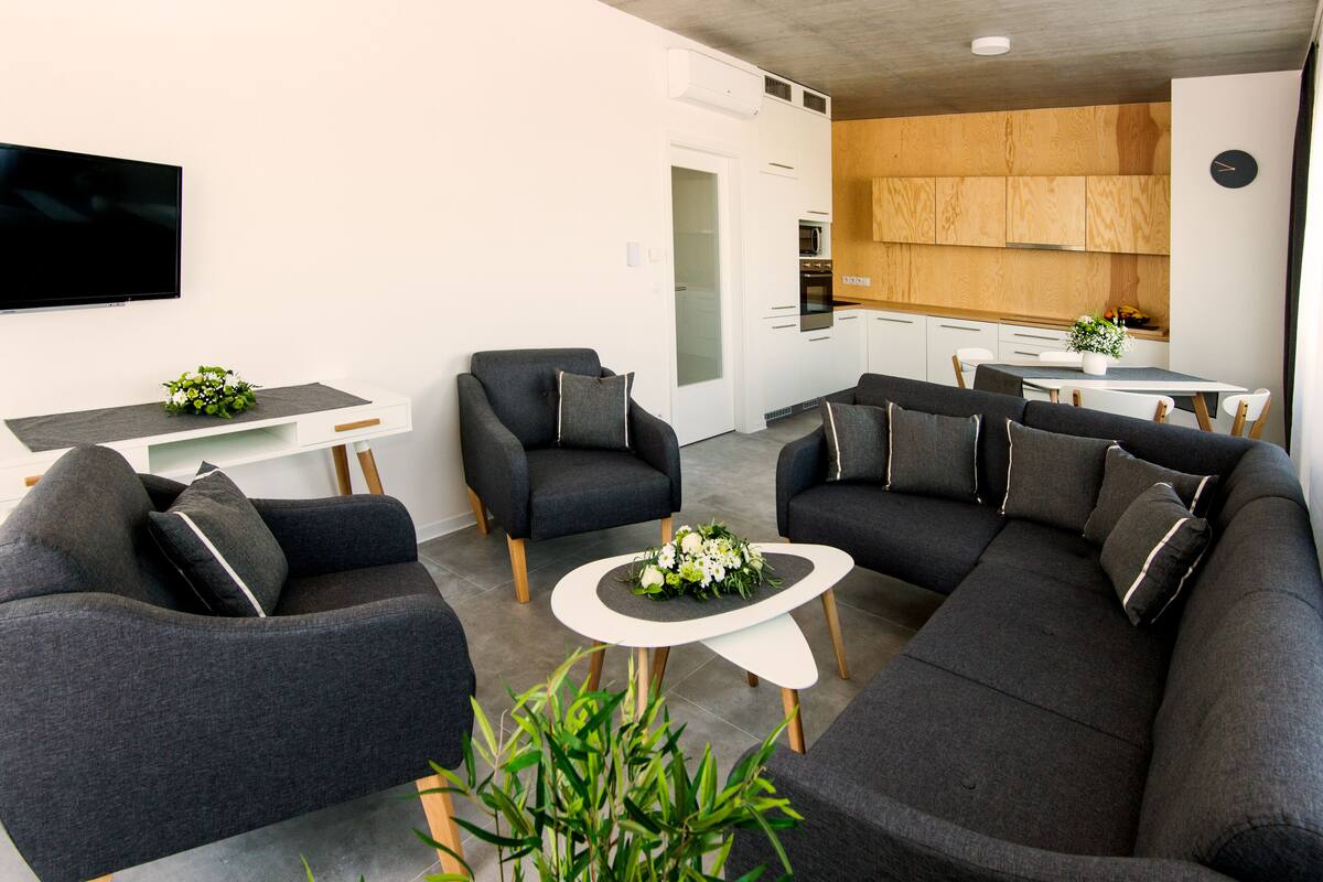 A modern living room with a sofa, chairs, a coffee table, and a TV.