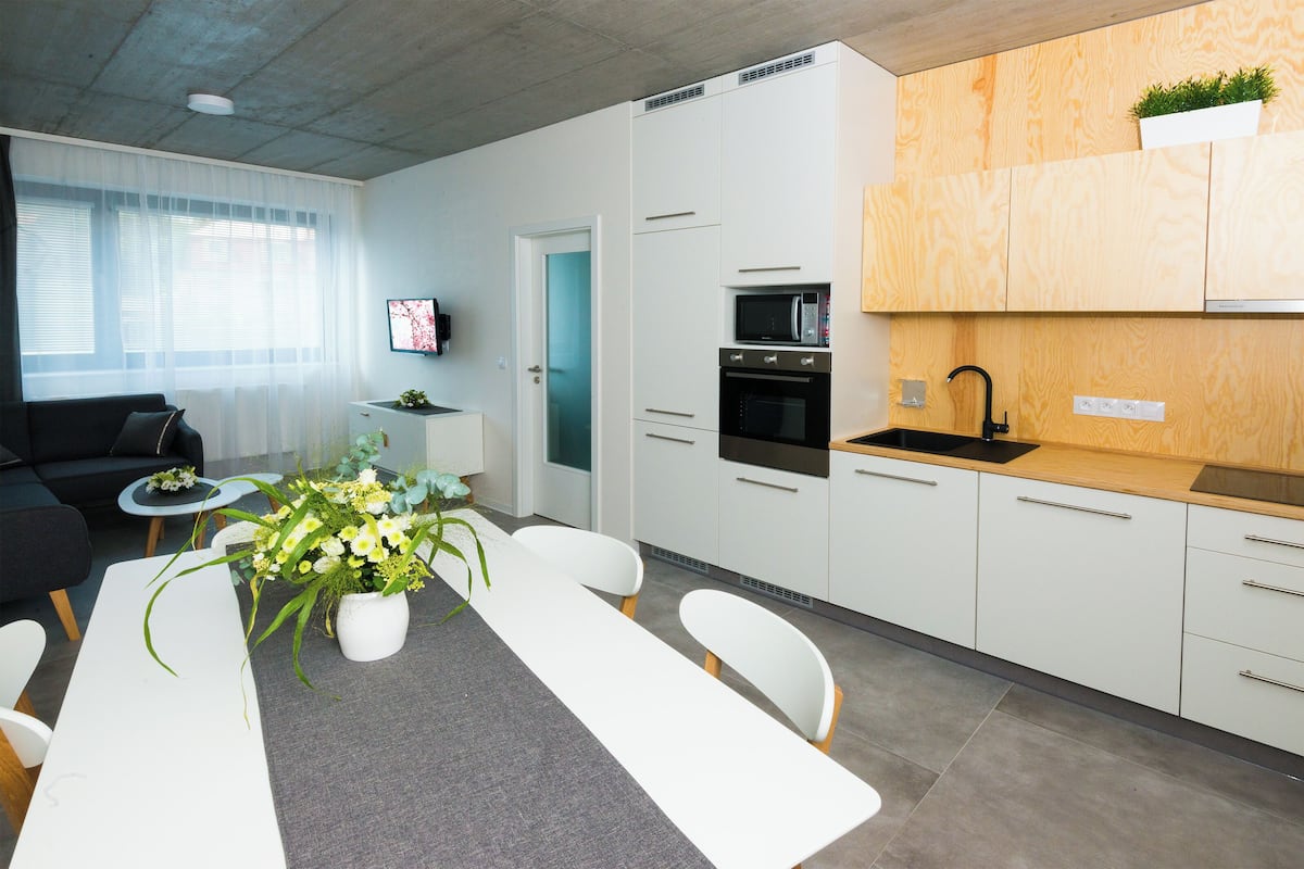 Flat-screen TV
