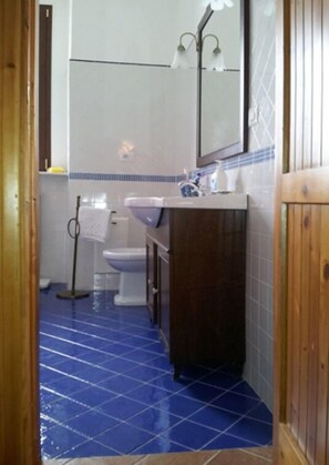 Un baño con piso de baldosas azules, inodoro blanco, lavamanos con espejo y zona de ducha.