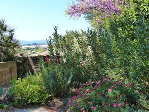 Garden - Château de Puichéric (Puicheric)