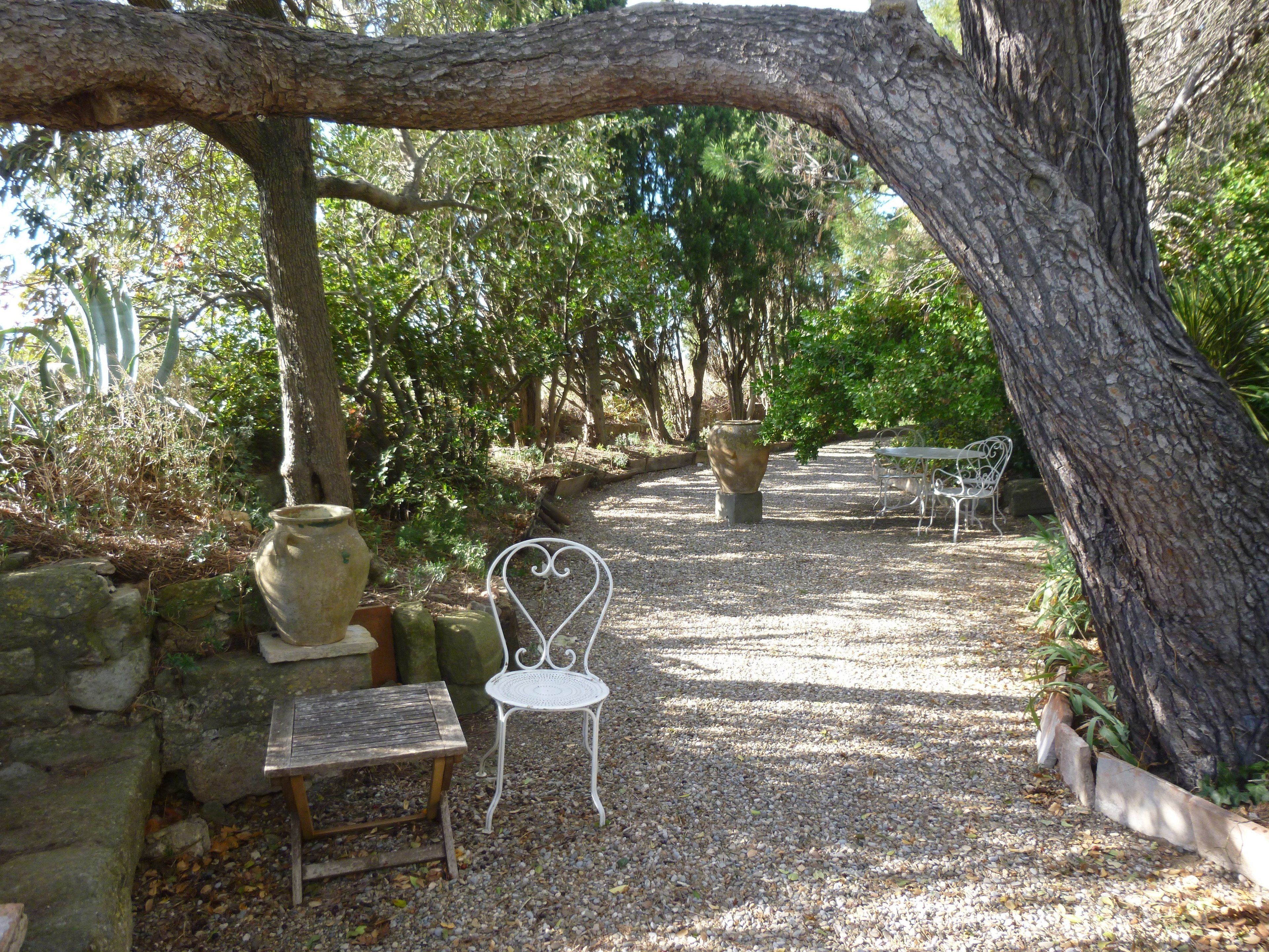 A garden pathway with benches, a large tree, and stone planters.