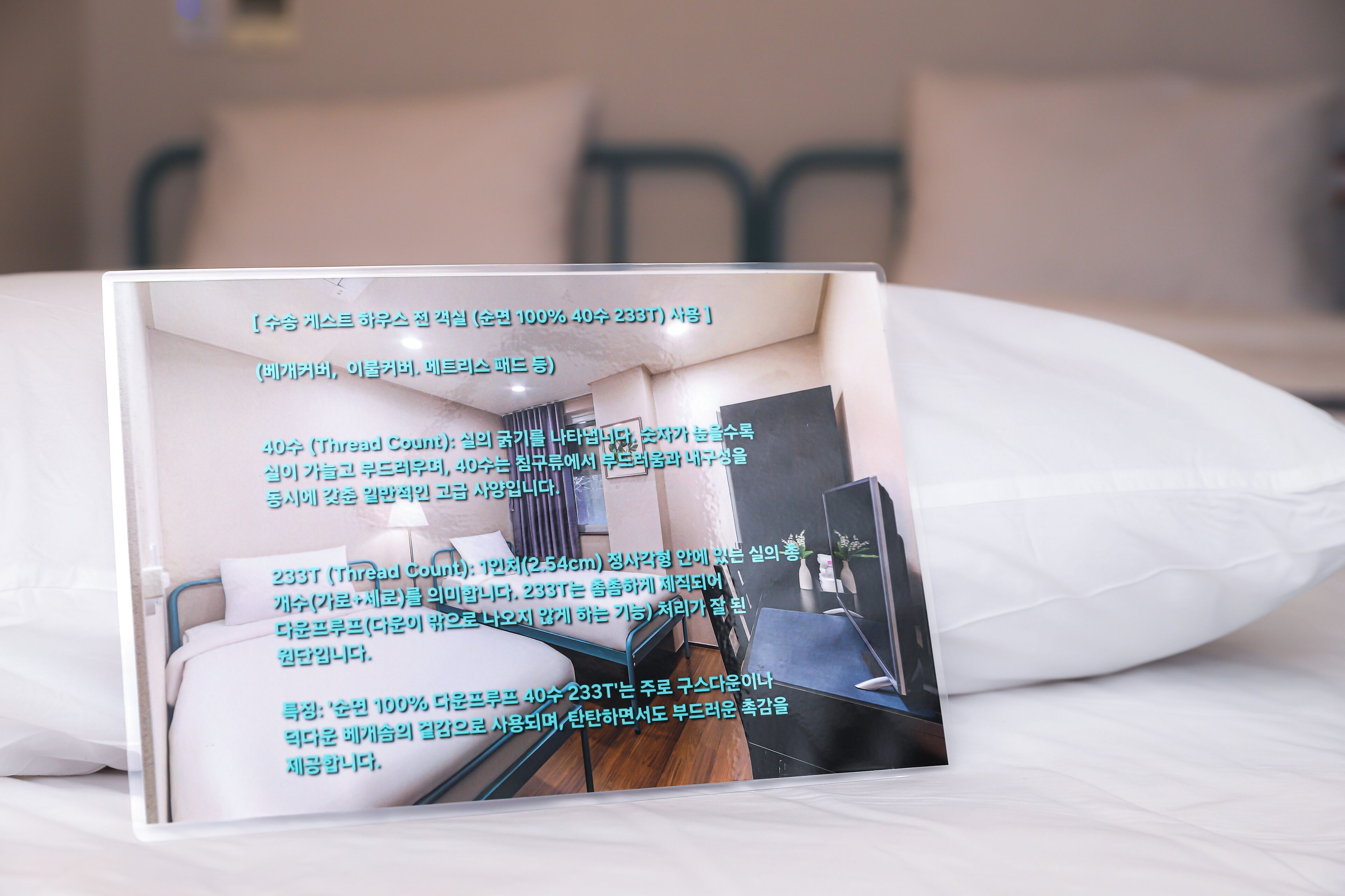 A brochure of a hotel room with a bed, a desk, and a chair.