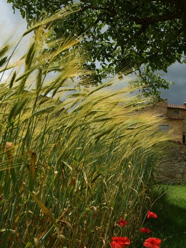 Baciano Azienda Agrituristico Venatoria