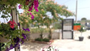 Een balkon met bloempotten en bloemen, een poortje op de achtergrond en een helder uitzicht op de straat.