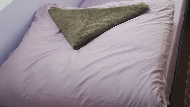 A single bed with a green throw pillow and a red patterned pillow. - BnB Royal Tourist House (Kathmandu)