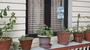 A white exterior wall with a black-framed window and multiple potted plants. - BnB Royal Tourist House (Kathmandu)