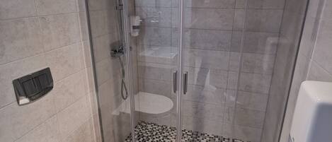 A modern bathroom with a glass-enclosed shower, a toilet, and a sink.