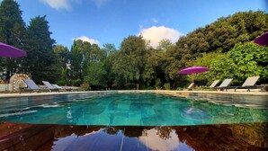 Una piscina con agua cristalina, rodeada de árboles y sillones de descanso con sombrillas moradas.