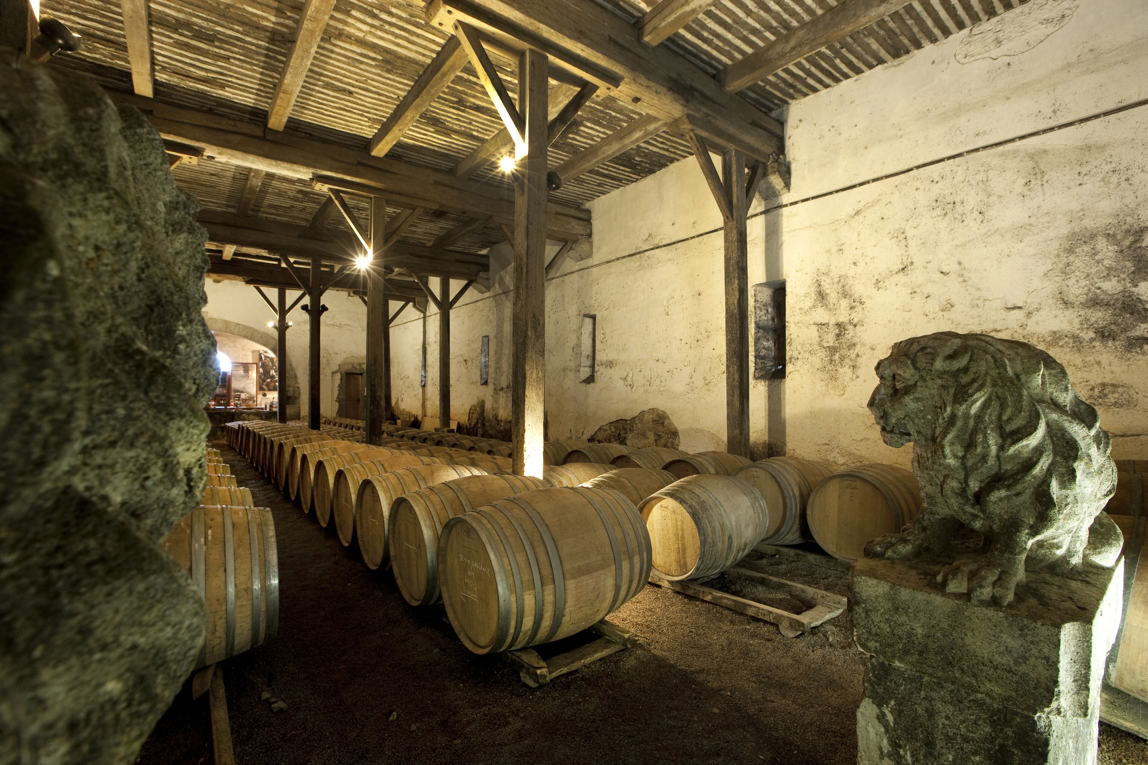 Foto - Chateau de Raissac