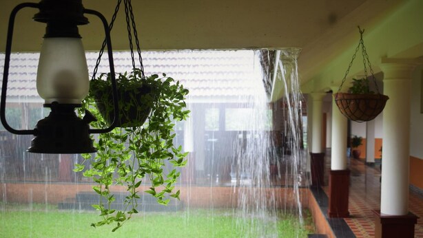 A hallway with a hanging plant, a water feature, and a traditional lamp. - 3 Hills County (Vythiri)