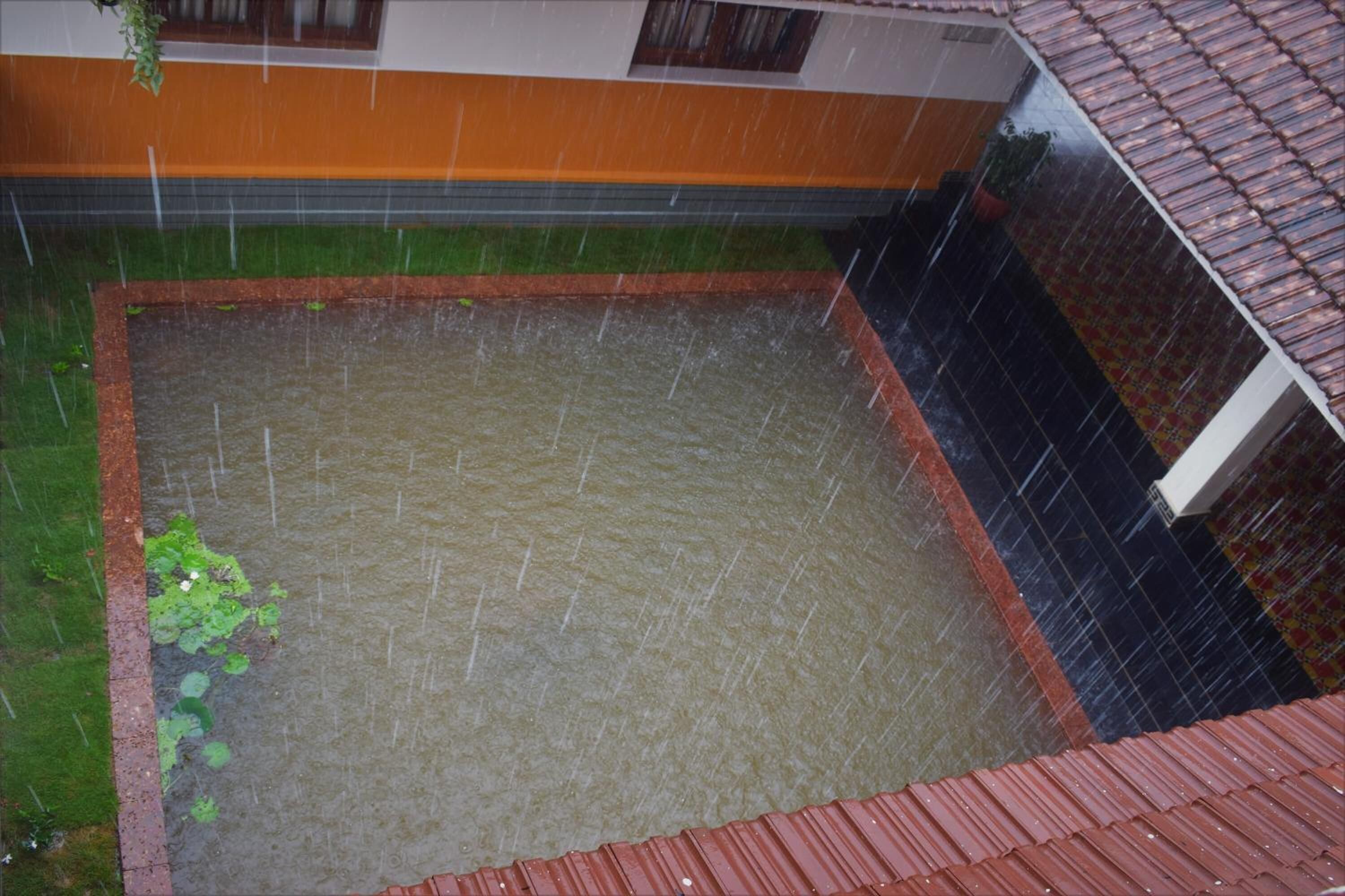 Kolam renang
