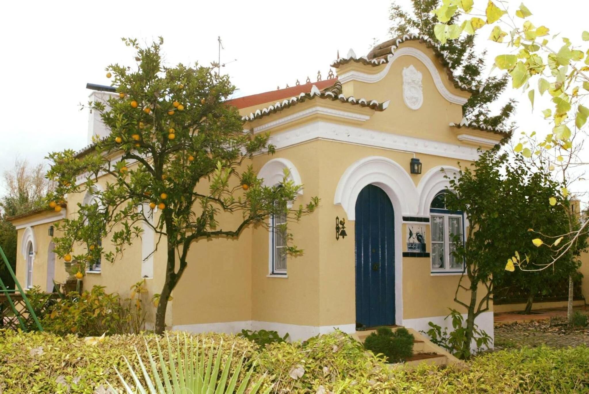 A yellow building with a blue door, surrounded by greenery and trees.