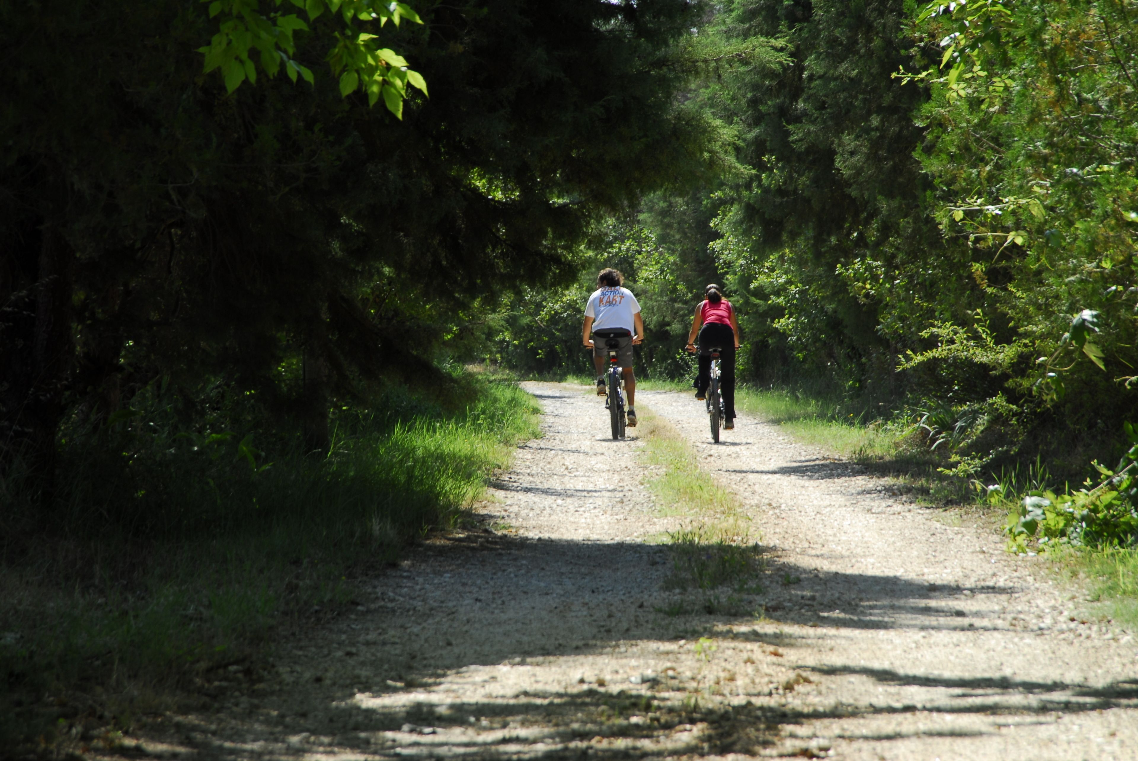 Two people riding bicycles on a gravel path surrounded by dense greenery.