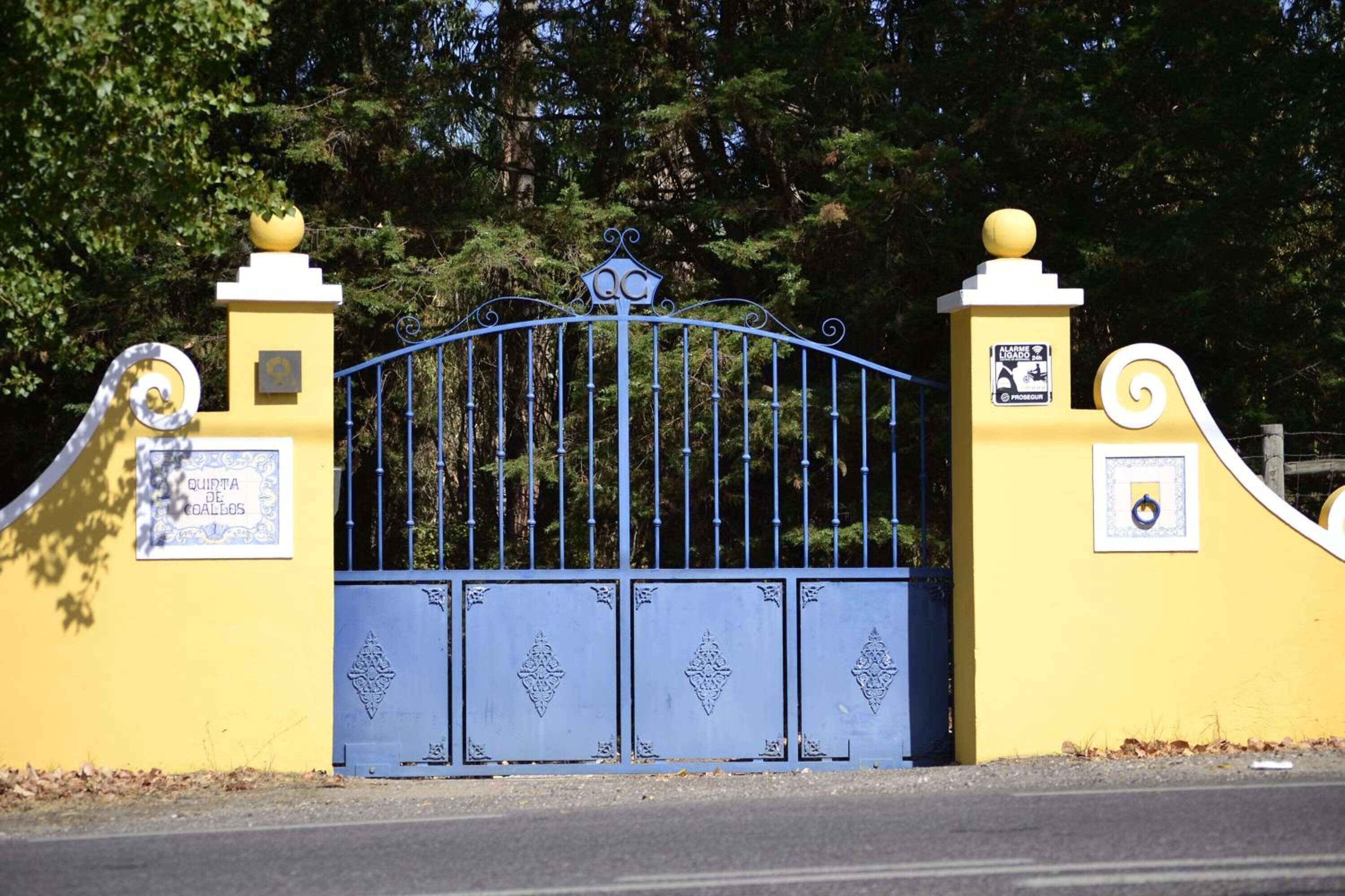 Una entrada protegida con un portón metálico decorativo y dos pilares, cada uno con un remate esférico.