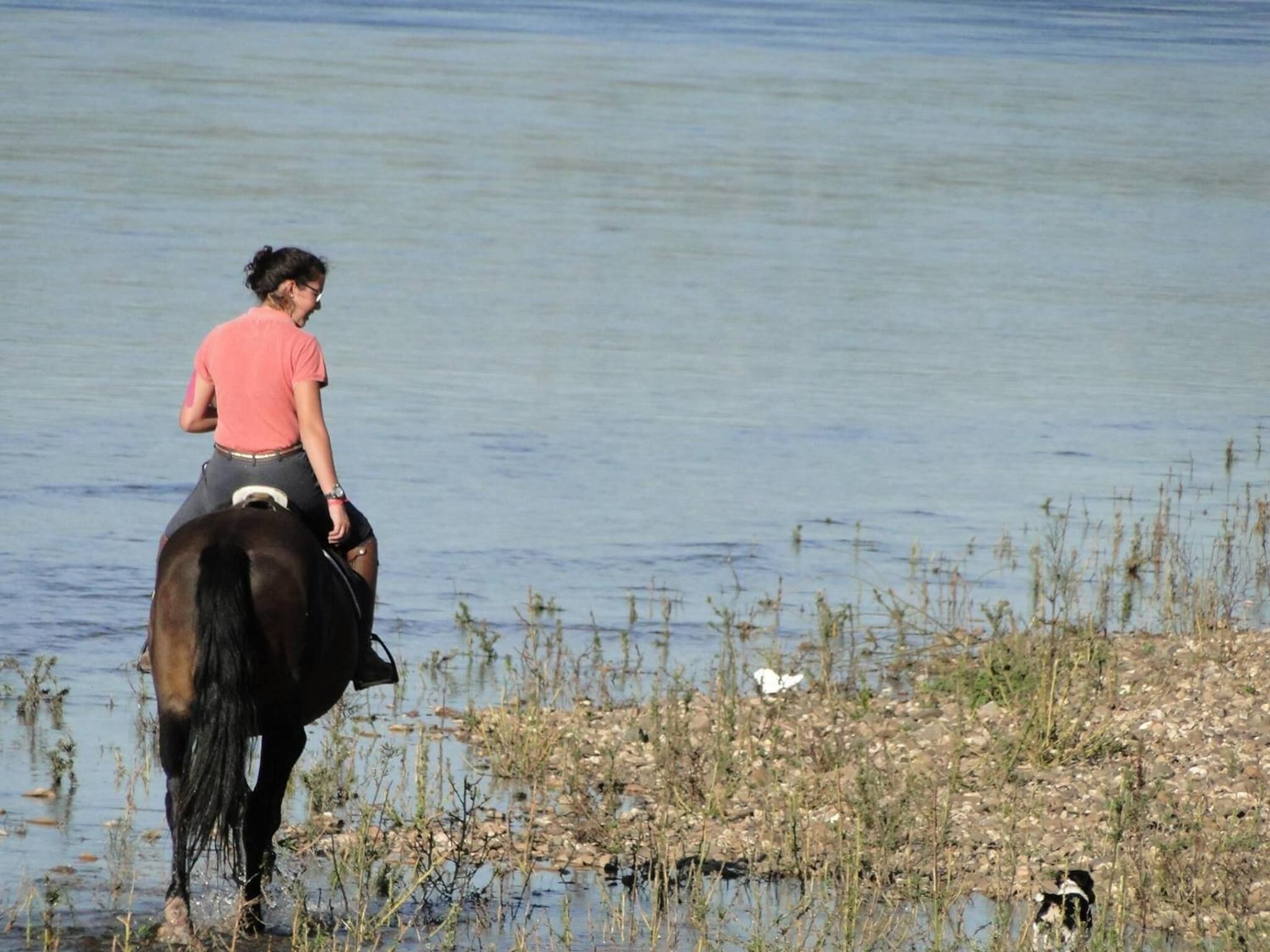 Una persona montando a caballo cerca de un cuerpo de agua con vegetación escasa.