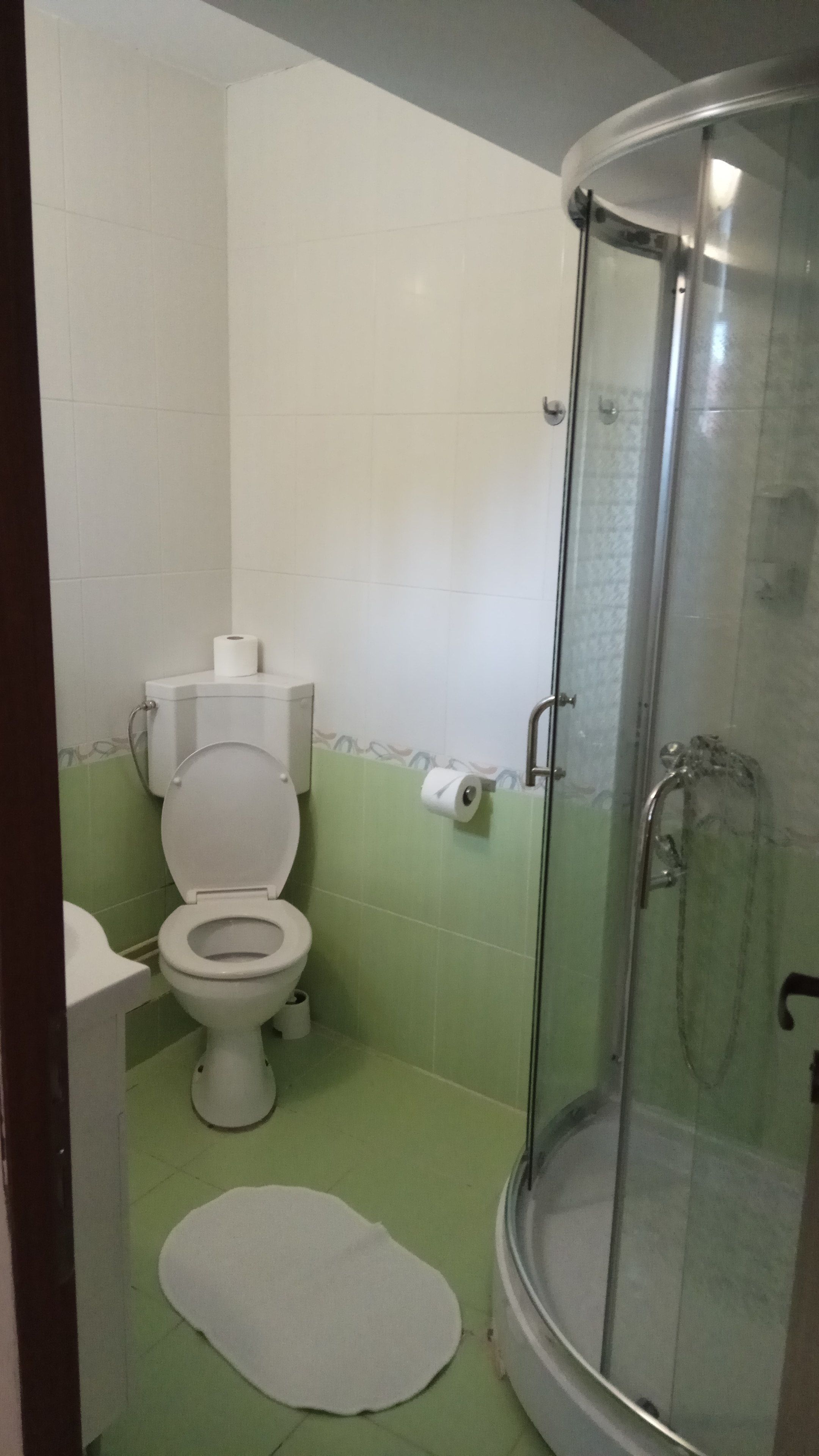A bathroom with a toilet, a shower, and a green floor.