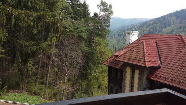 Un edificio con techo de tejas rojas, rodeado de un bosque denso y montañas al fondo.