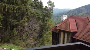 A building with a red-tiled roof, surrounded by dense forest and mountains in the background. - Casa Adina (Sinaia)