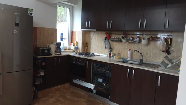 A modern kitchen with dark wooden cabinets, a stainless steel refrigerator, a built-in dishwasher, and a gas stove. - Casa Adina (Sinaia)