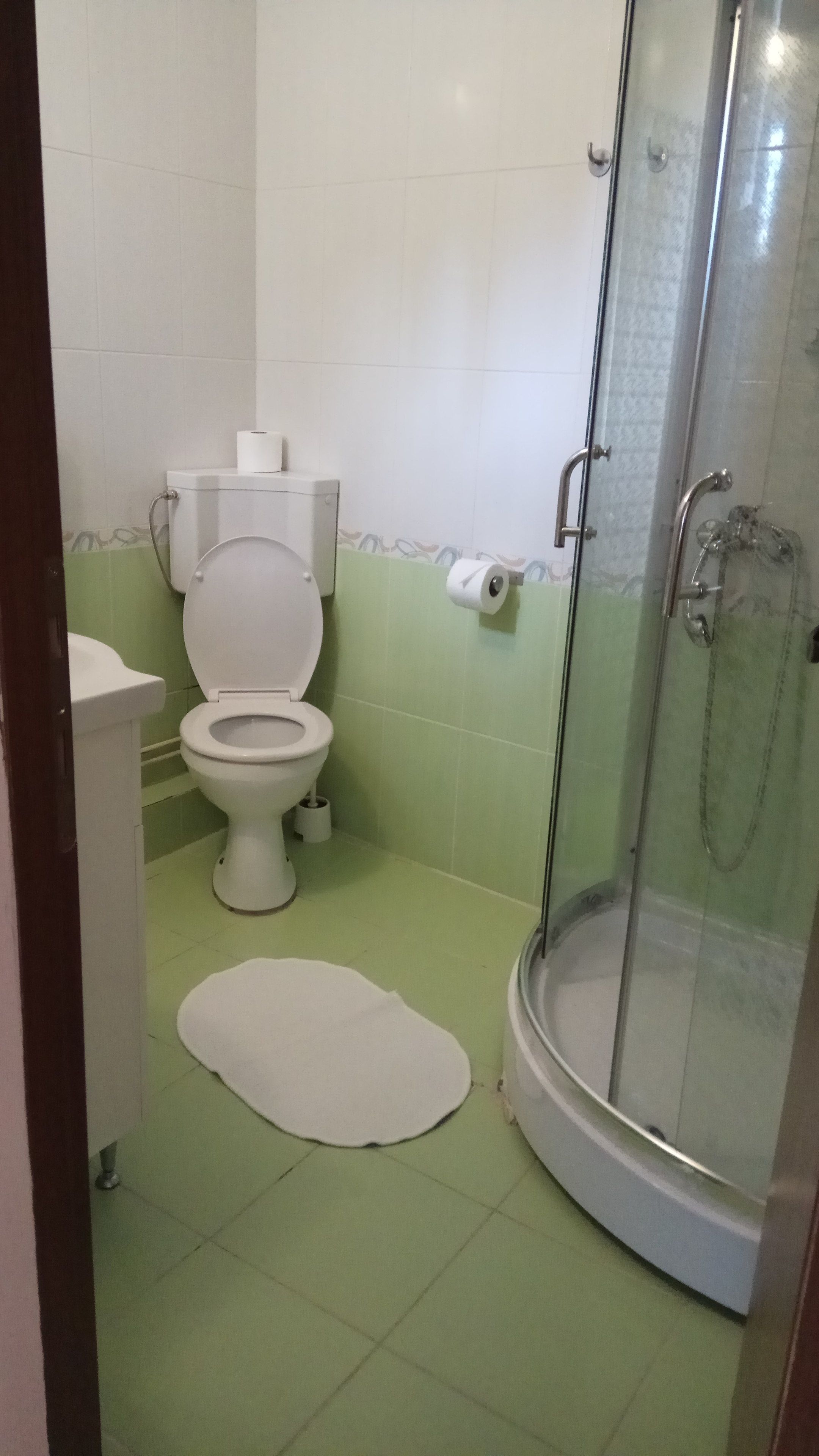 A bathroom with a toilet, a shower, and a white rug on the floor.