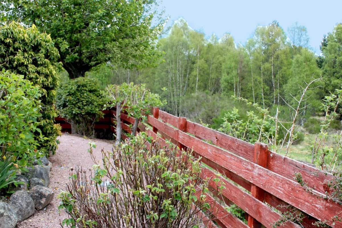 Bungalow, 4 Bedrooms (Lynwood) | Garden view