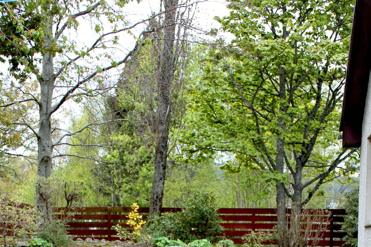 Bungalow, 3 Bedrooms (Braeriach) | Garden view