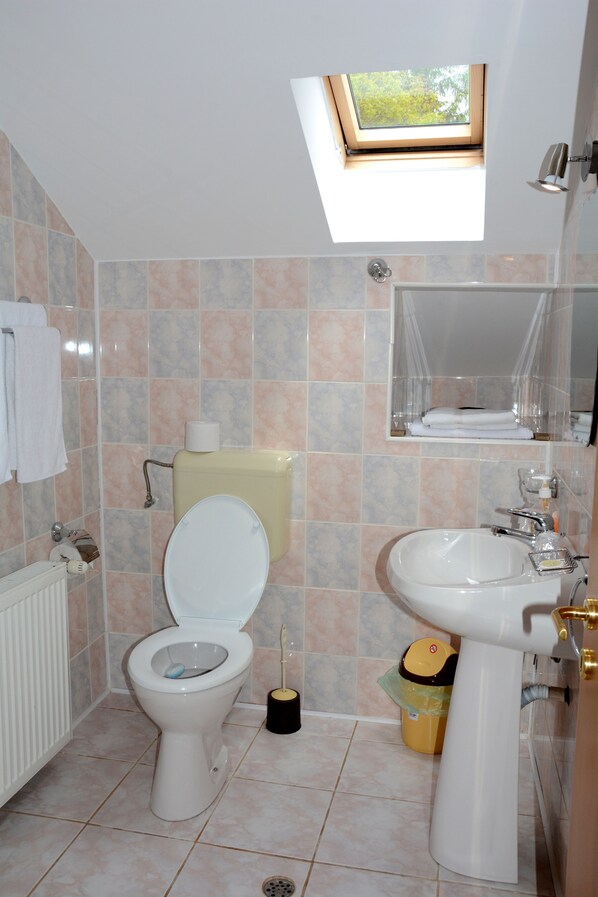 Un baño con tragaluz, inodoro, lavabo y paredes con azulejos.