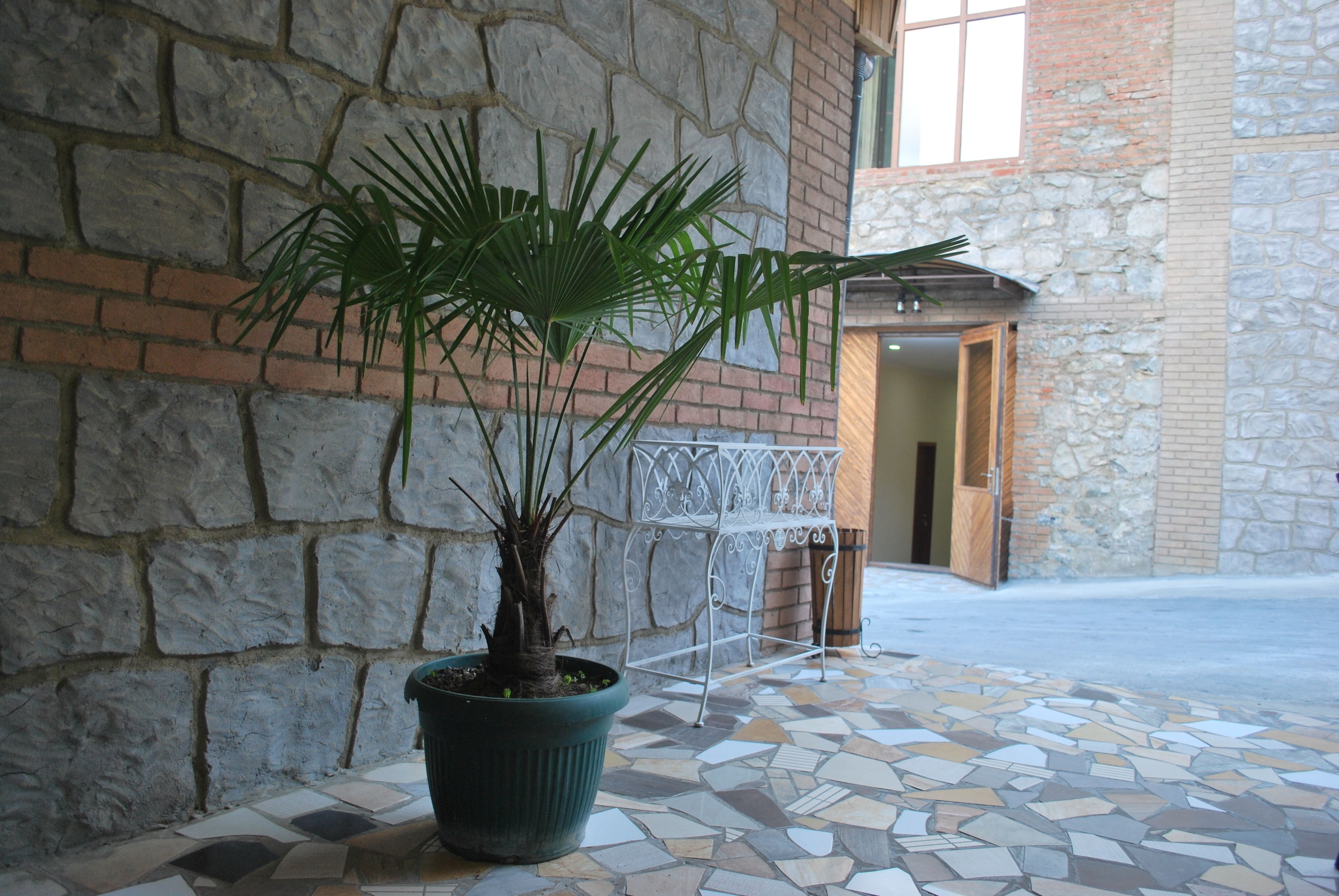 A potted palm plant on a tiled floor next to a stone wall with a metal railing.