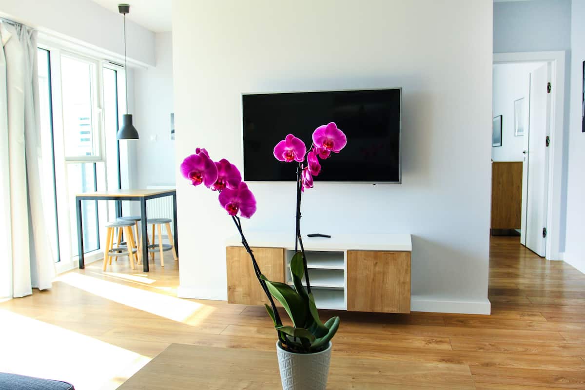 Superior-Apartment, 1 Schlafzimmer