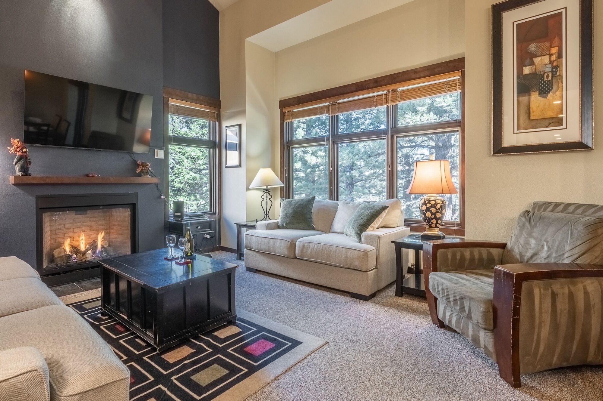 TV, fireplace