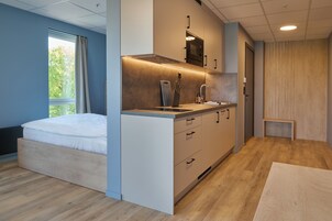 Suite estudio Deluxe | Cocina privada | Frigorífico, microondas, placa de cocina y cafetera o tetera