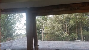 A view through a window with a wooden frame, looking out to a paved area with trees in the background.