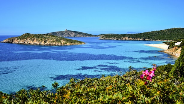 Un paysage côtier caractérisé par une eau d’un bleu limpide, une plage de sable et une végétation luxuriante.