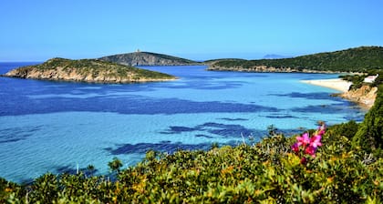 Cottage in Sardinia, near the Sea, recreation and relax on 5000 sq.m