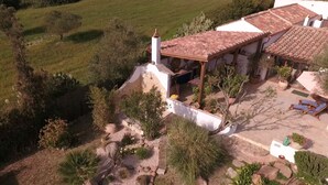 Une maison avec un toit en tuiles, entourée d’un jardin où poussent différentes espèces de plantes, et dotée d’un patio aménagé avec des chaises longues.
