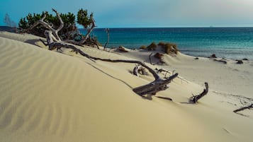 Plage à proximité, chaises longues, serviettes de plage