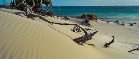 Nära stranden, solstolar och strandhanddukar