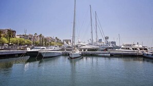 Eine Marina mit mehreren dort angestuften Yachten, umgeben von Gebäuden und Palmen.