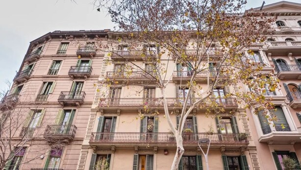 A multi-story building with balconies, green shutters, and a tree in front. - Sweett | Ethnic Eixample (Barcelona)