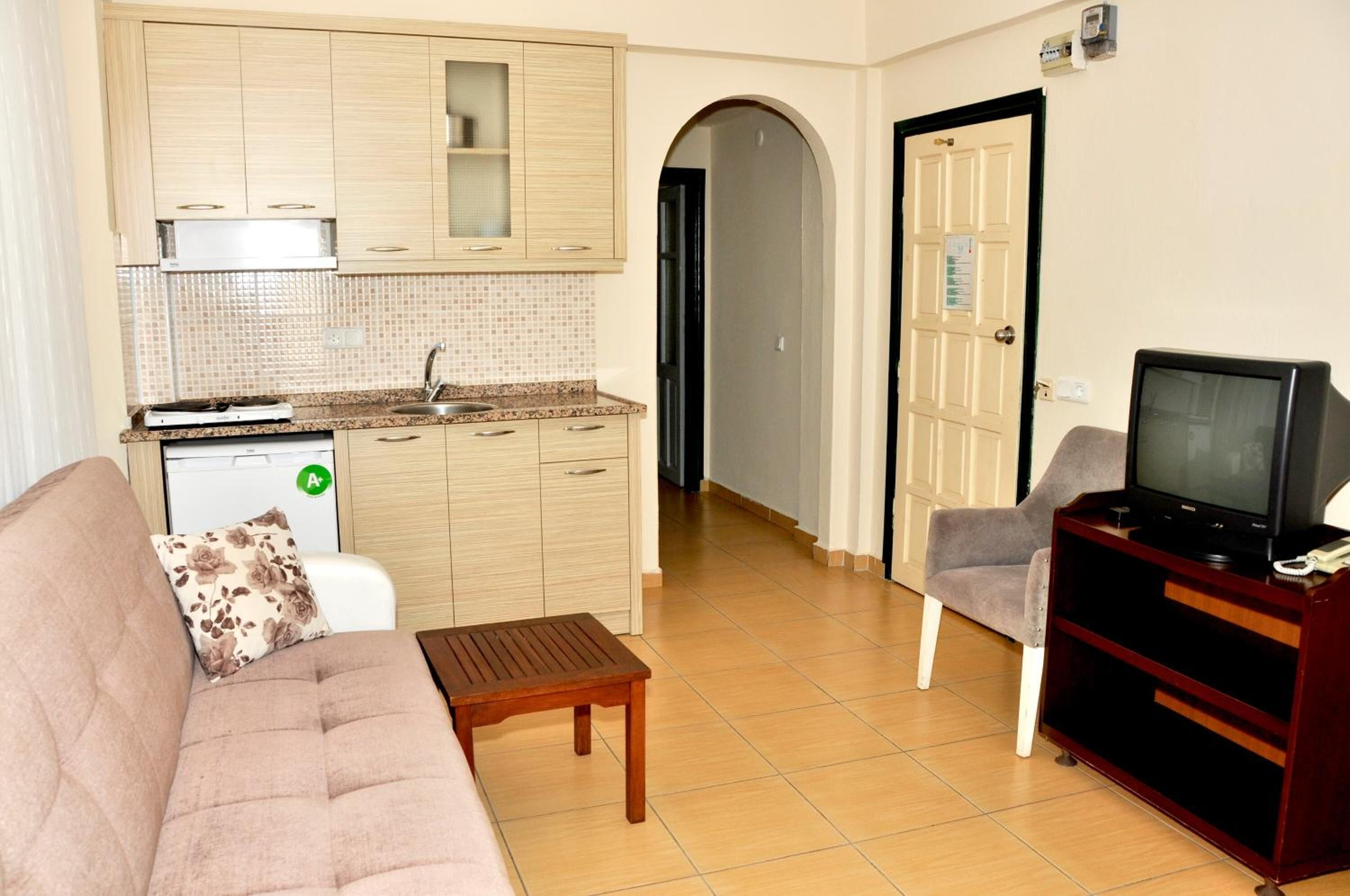 A compact living space with a kitchenette, a sofa, a television, and a small table.