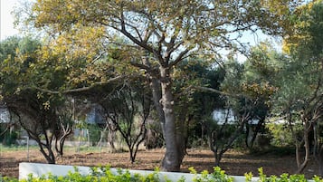 Jardín